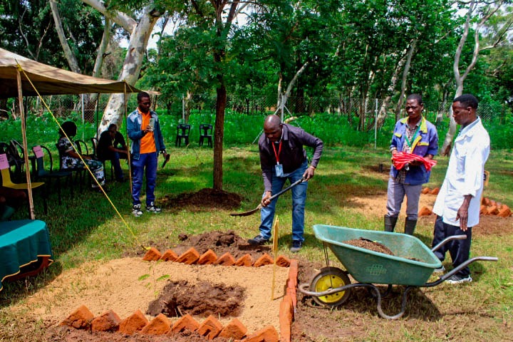 Kamuzu Academy Annual Tree Planting exercise 2025